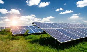 Discover 4 Types of Solar Panels in the Indian Market