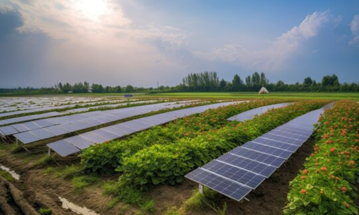 Solar-powered Agriculture