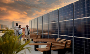 solar panels dealers in india